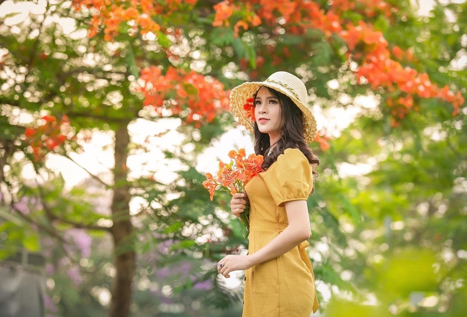 Rạo rực ngắm phố phường Hà Nội mùa phượng vĩ đơm hoa - 7 Rạo rực ngắm phố phường Hà Nội mùa phượng vĩ đơm hoa - 7