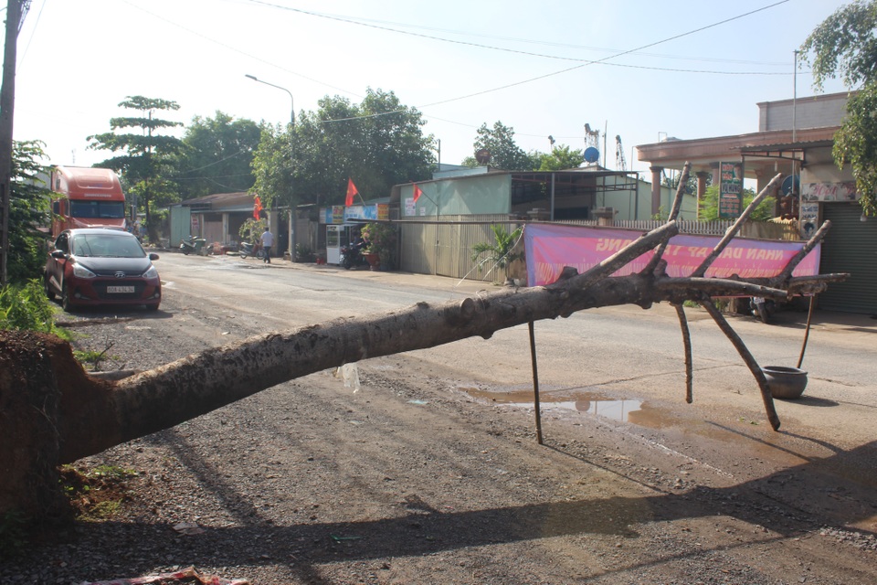 Người dân dựng rào chặn xe quá tải - 1