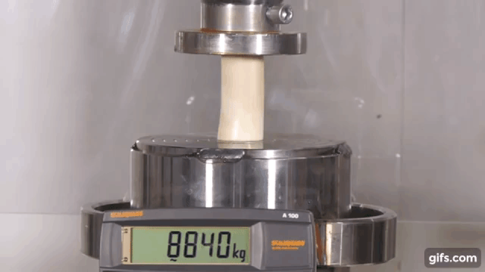 Thử độ cứng của xương bằng máy ép thủy lực trăm tấn: Kết quả bất ngờ! - 1 Thử độ cứng của xương bằng máy ép thủy lực trăm tấn: Kết quả bất ngờ! - 1