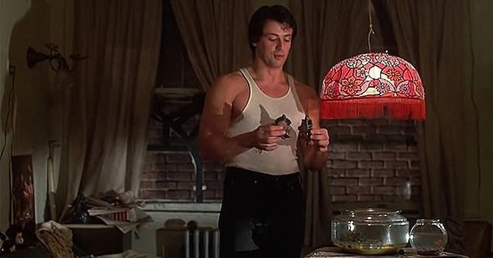 Sylvester Stallone still raises two turtles in the movie "Legendary Fist" after 40 years - 3