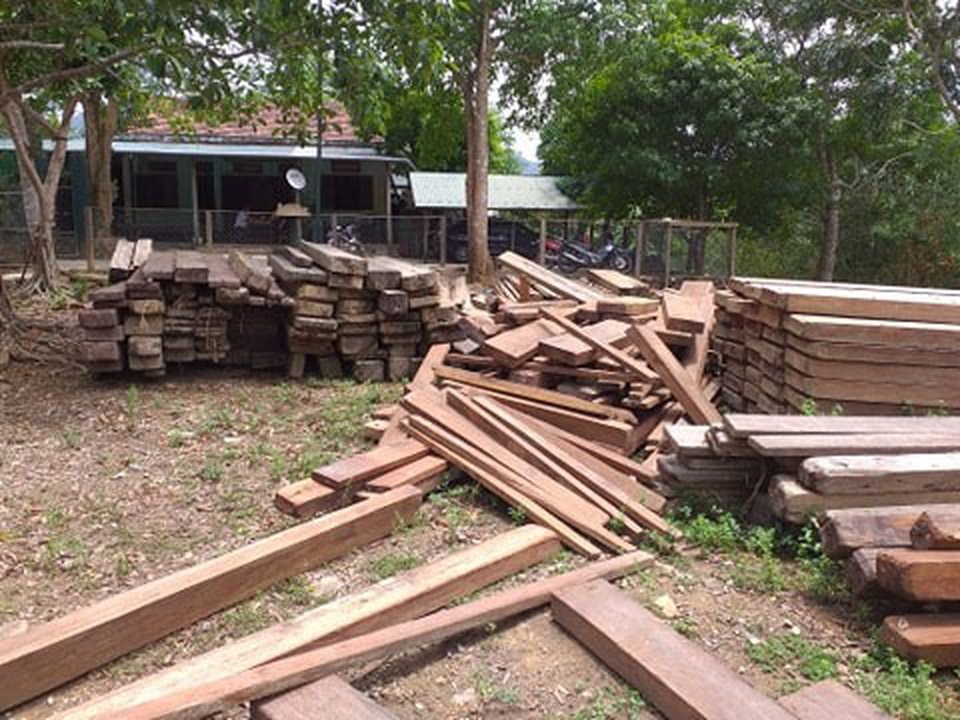 Gỗ lậu được cất giấu trong... trụ sở UBND xã - 1 Gỗ lậu được cất giấu trong... trụ sở UBND xã - 1