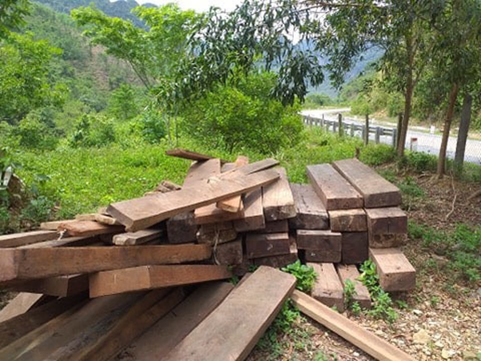Gỗ lậu được cất giấu trong... trụ sở UBND xã - 2 Gỗ lậu được cất giấu trong... trụ sở UBND xã - 2