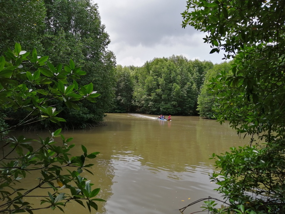 Canô “xẻ” nước, vỏ máy bồng bềnh xuyên rừng Mũi Cà Mau - 6