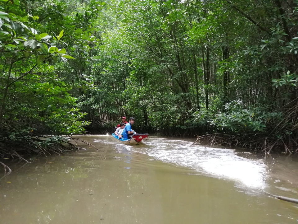 Canô “xẻ” nước, vỏ máy bồng bềnh xuyên rừng Mũi Cà Mau - 5