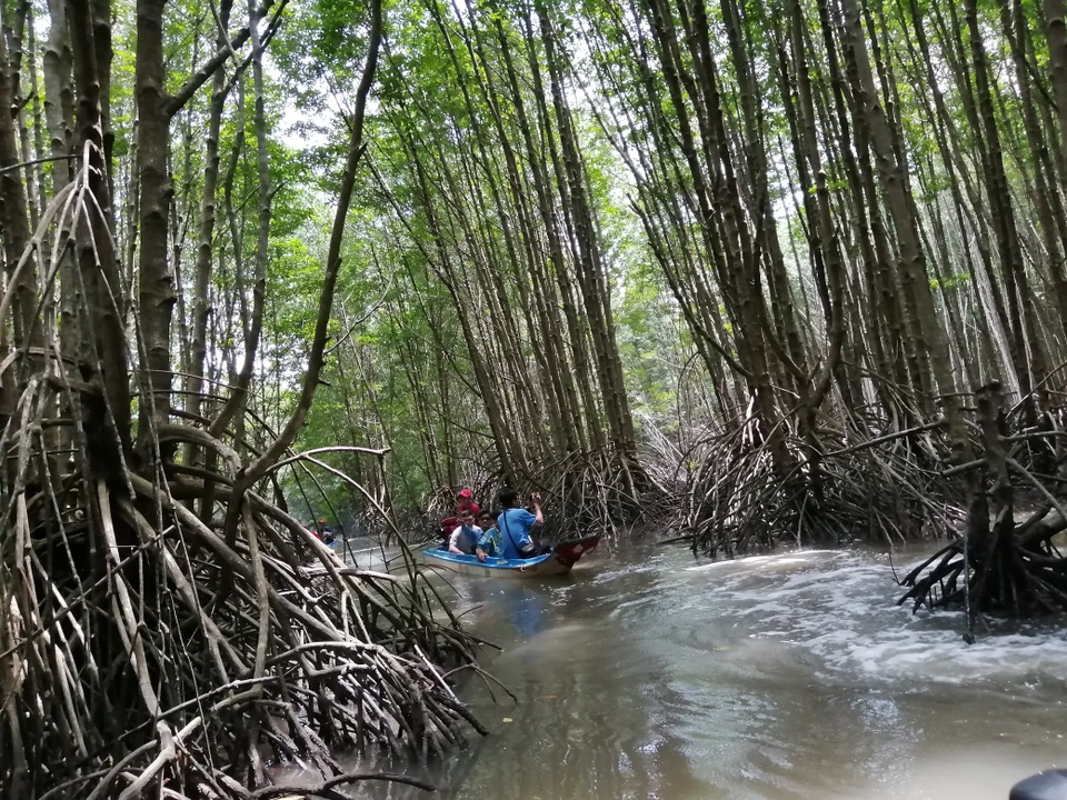 Canô “xẻ” nước, vỏ máy bồng bềnh xuyên rừng Mũi Cà Mau - 4