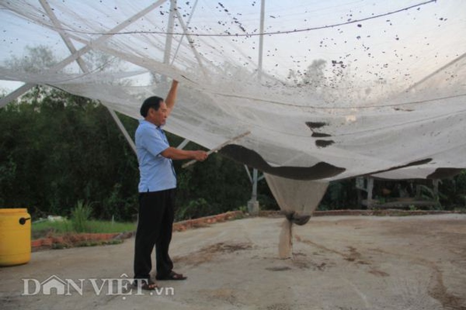 Nuôi loài ngày treo mình ngủ, tối đi săn, thu 2-3 tỷ/năm - 1 Nuôi loài ngày treo mình ngủ, tối đi săn, thu 2-3 tỷ/năm - 1