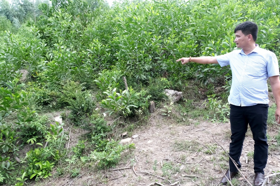  Nhà máy đốt rác thải Quảng Nam