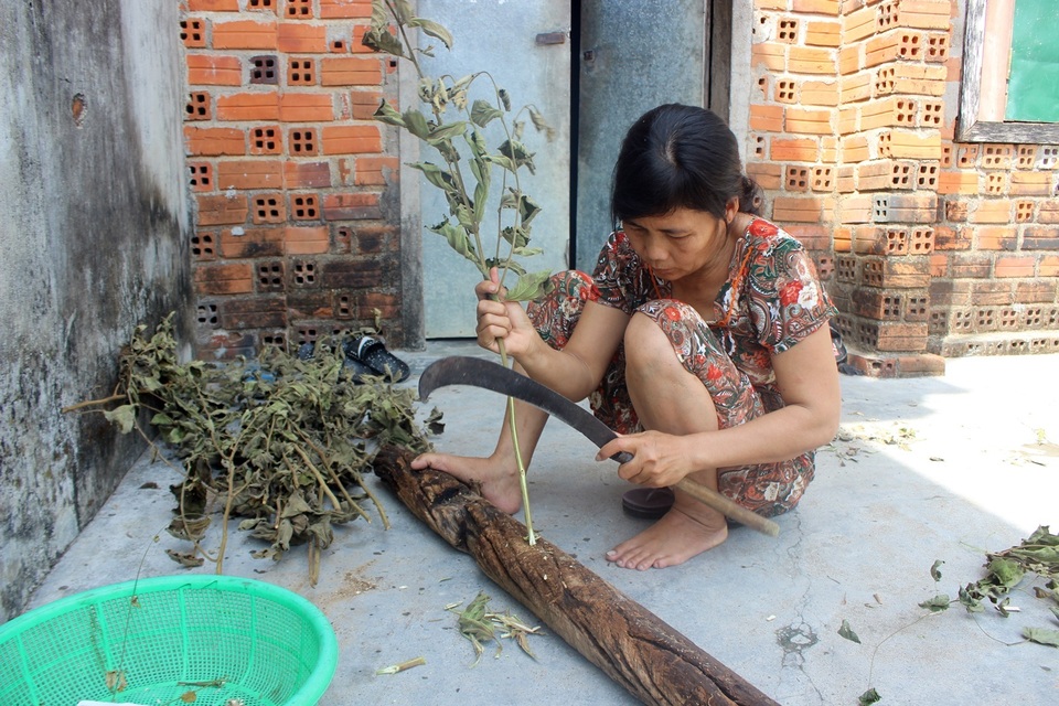 Bố mẹ ung thư, nam sinh bỏ học giữa chừng đỡ gánh nặng gia đình - 2 Bố mẹ ung thư, nam sinh bỏ học giữa chừng đỡ gánh nặng gia đình - 2