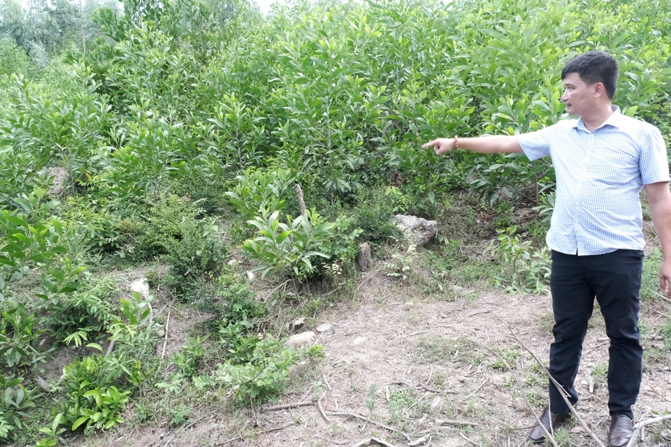 Nhà máy đốt rác thải Quảng Nam