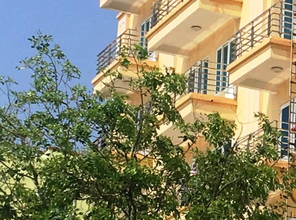 Ngộ độc thực phẩm ở khu du lịch, hàng chục người nhập viện - 1