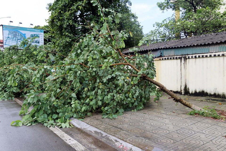 Mưa lũ lớn tại Móng Cái, một người mất tích, hàng chục đò sắt bị đắm - 3 Mưa lũ lớn tại Móng Cái, một người mất tích, hàng chục đò sắt bị đắm - 3