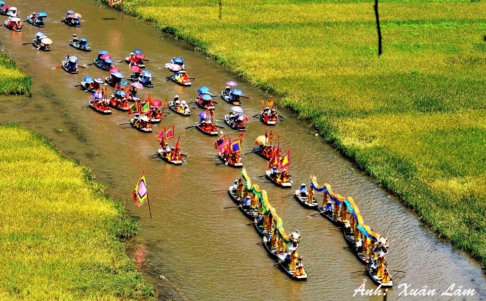 Đẹp mê hồn khi mùa vàng Tam Cốc vào chính vụ - 13