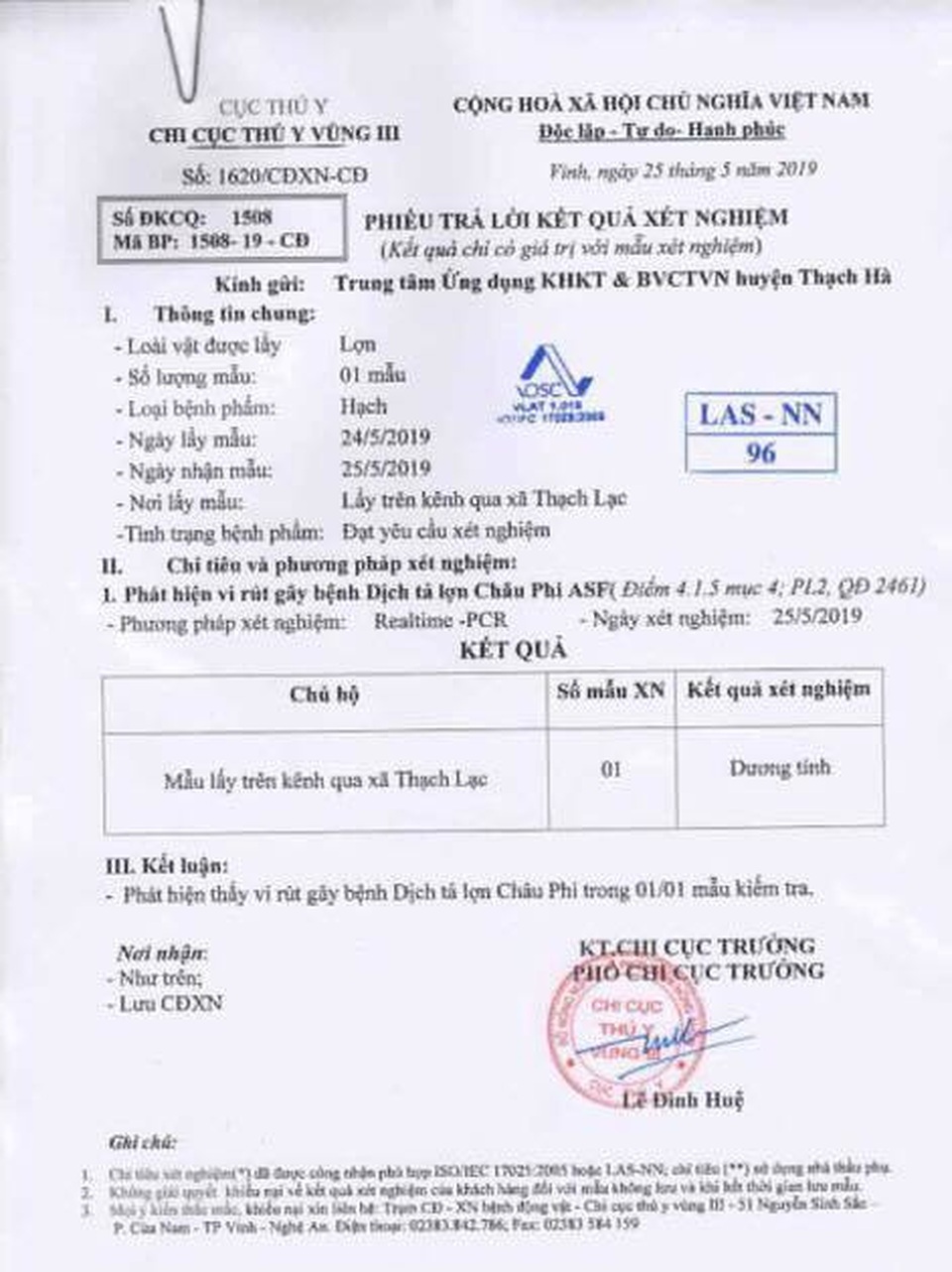 Số lợn chết trôi trên kênh dương tính với dịch tả lợn châu Phi - 2