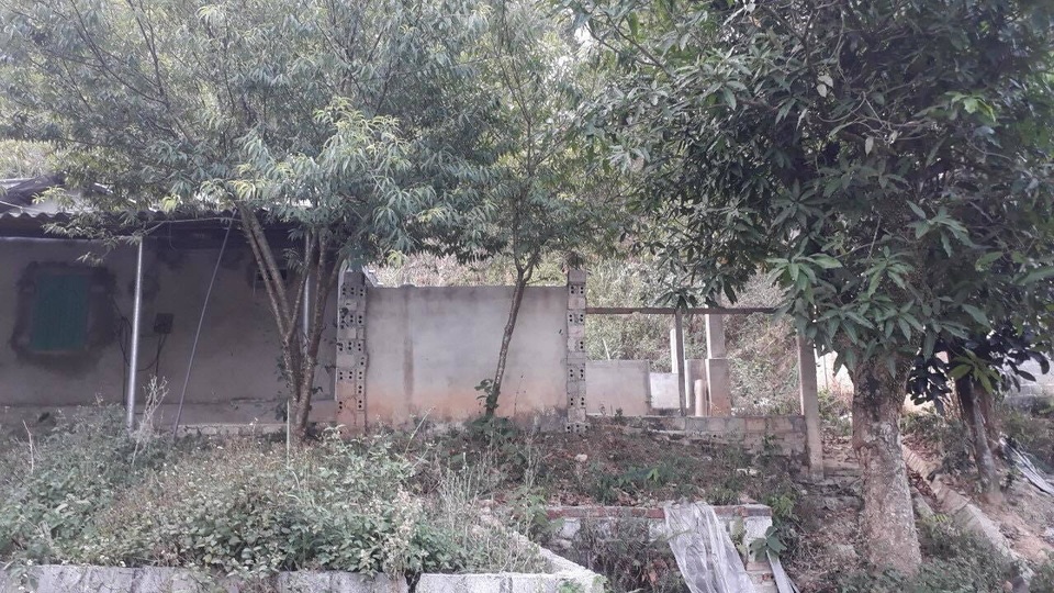 Tiểu thương chợ Mường Thanh nói gì về mẹ nữ sinh giao gà? - 5