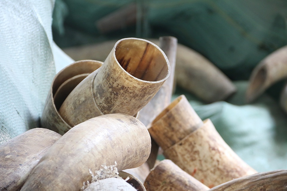 Nghề mài sừng trâu, bò làm đồ mỹ nghệ ở Hà Nội - 4 Nghề mài sừng trâu, bò làm đồ mỹ nghệ ở Hà Nội - 4