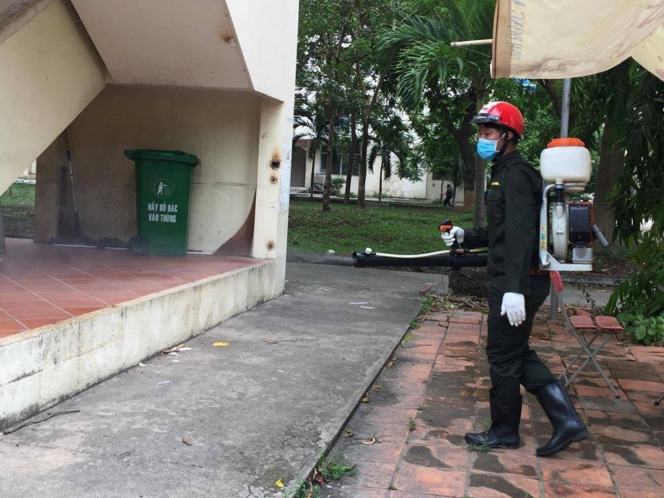 Kiến ba khoang tấn công, người Sài Gòn “mất ăn mất ngủ” - 3