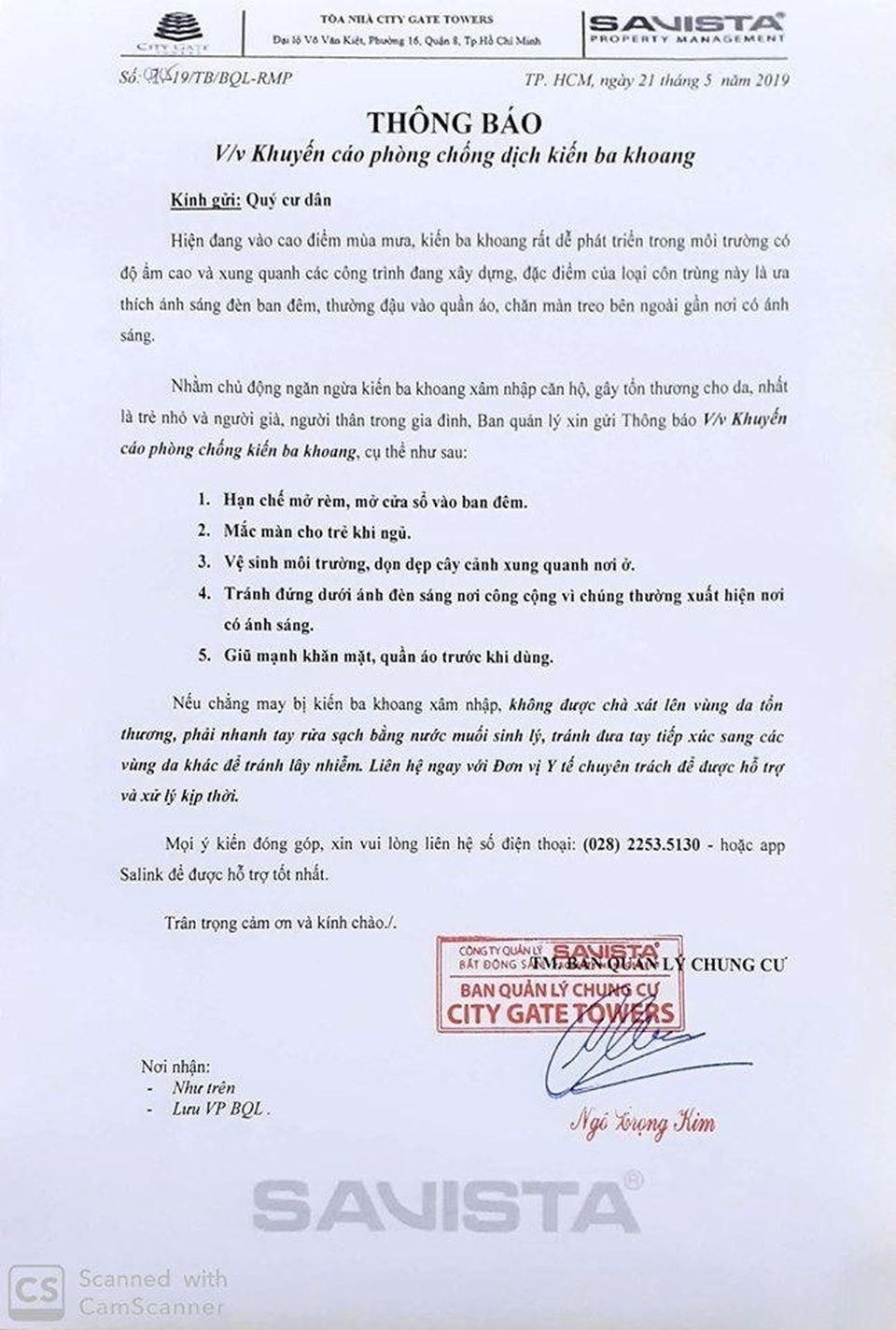 Kiến ba khoang tấn công, người Sài Gòn “mất ăn mất ngủ” - 4