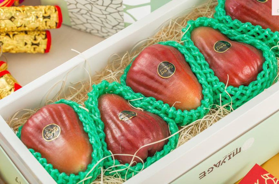 Bất ngờ quả roi khổng lồ to như xoài tượng xuất hiện ở Việt Nam - 1 Bất ngờ quả roi khổng lồ to như xoài tượng xuất hiện ở Việt Nam - 1