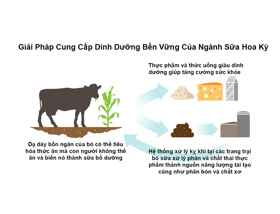 Bơ sữa Hoa Kỳ: Các biện pháp sáng tạo bảo vệ môi trường - 1