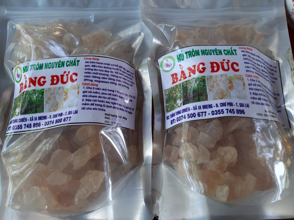 Hai vợ chồng “chân đất” thu tiền triệu mỗi ngày từ “cây lạ” - 4 Hai vợ chồng “chân đất” thu tiền triệu mỗi ngày từ “cây lạ” - 4