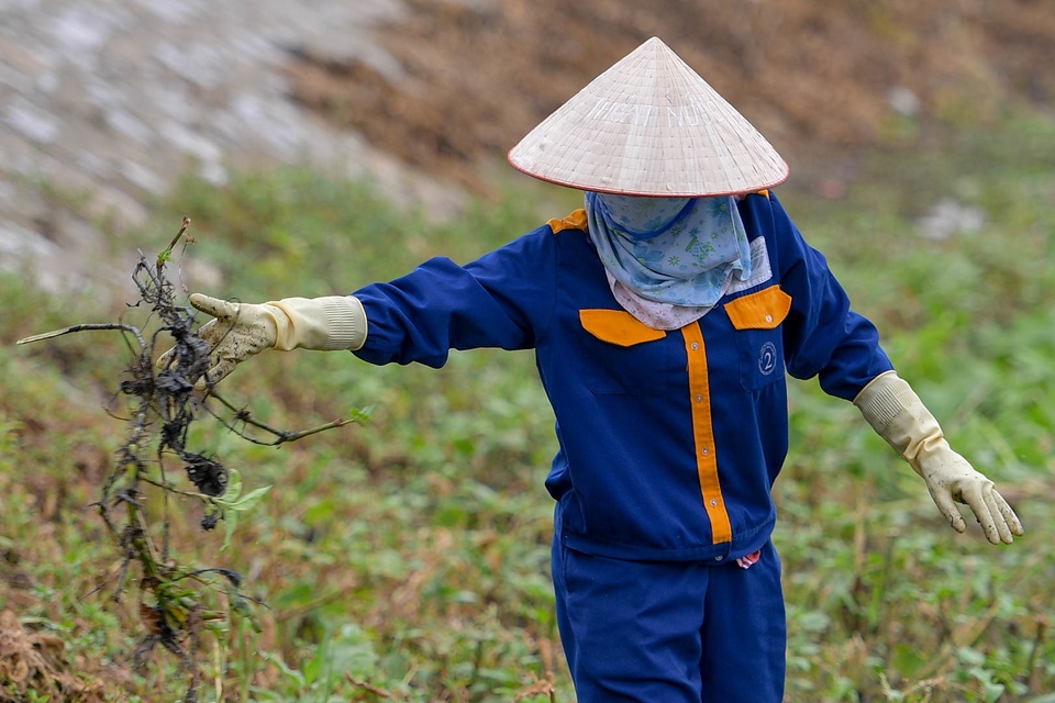 Hà Nội khẩn trương dọn lòng hồ ô nhiễm trong công viên nghìn tỷ - 7 Hà Nội khẩn trương dọn lòng hồ ô nhiễm trong công viên nghìn tỷ - 7