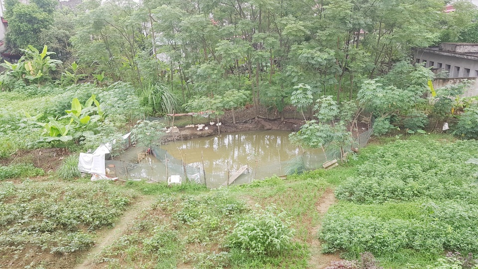 Trường nghề “đắp chiếu”, chưa sử dụng đã… tan hoang - 15 Trường nghề “đắp chiếu”, chưa sử dụng đã… tan hoang - 15