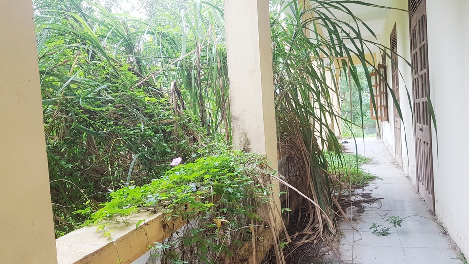 Trường nghề “đắp chiếu”, chưa sử dụng đã… tan hoang - 6 Trường nghề “đắp chiếu”, chưa sử dụng đã… tan hoang - 6