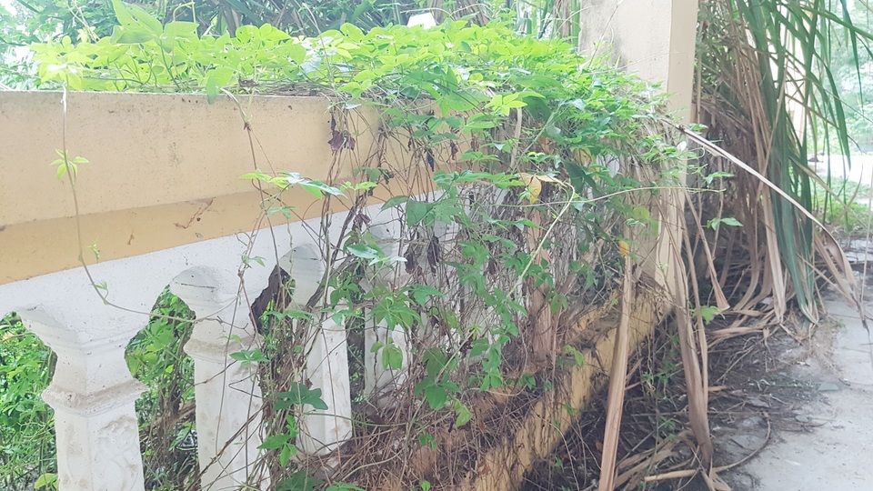 Trường nghề “đắp chiếu”, chưa sử dụng đã… tan hoang - 13 Trường nghề “đắp chiếu”, chưa sử dụng đã… tan hoang - 13
