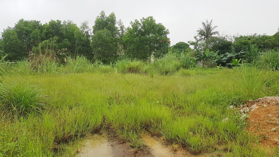 Trường nghề “đắp chiếu”, chưa sử dụng đã… tan hoang - 3 Trường nghề “đắp chiếu”, chưa sử dụng đã… tan hoang - 3