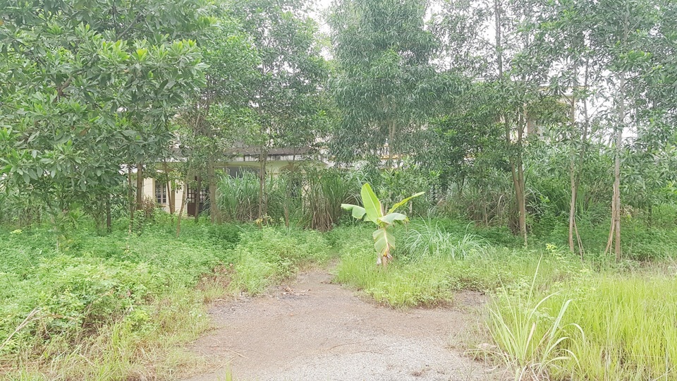 Trường nghề “đắp chiếu”, chưa sử dụng đã… tan hoang - 16 Trường nghề “đắp chiếu”, chưa sử dụng đã… tan hoang - 16