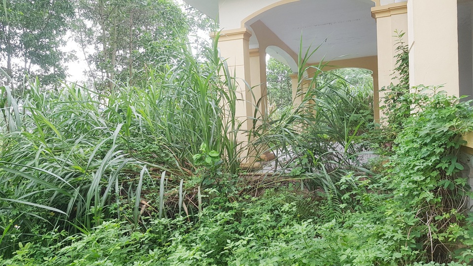 Trường nghề “đắp chiếu”, chưa sử dụng đã… tan hoang - 5 Trường nghề “đắp chiếu”, chưa sử dụng đã… tan hoang - 5