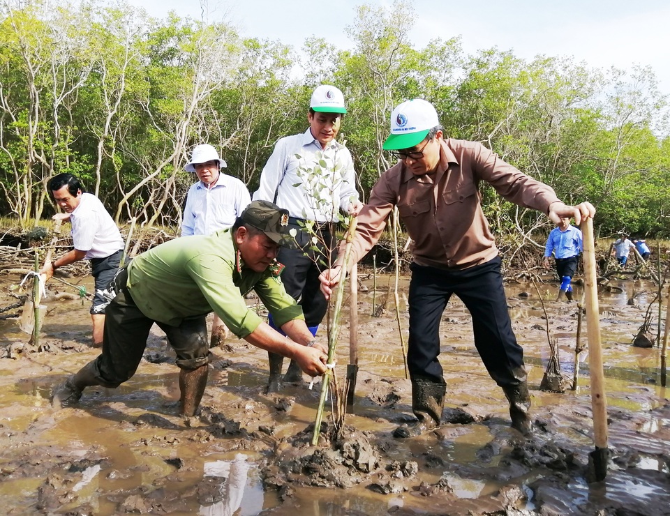 Bộ Tài nguyên và Môi trường phát động trồng rừng ven biển Bạc Liêu - 2 Bộ Tài nguyên và Môi trường phát động trồng rừng ven biển Bạc Liêu - 2