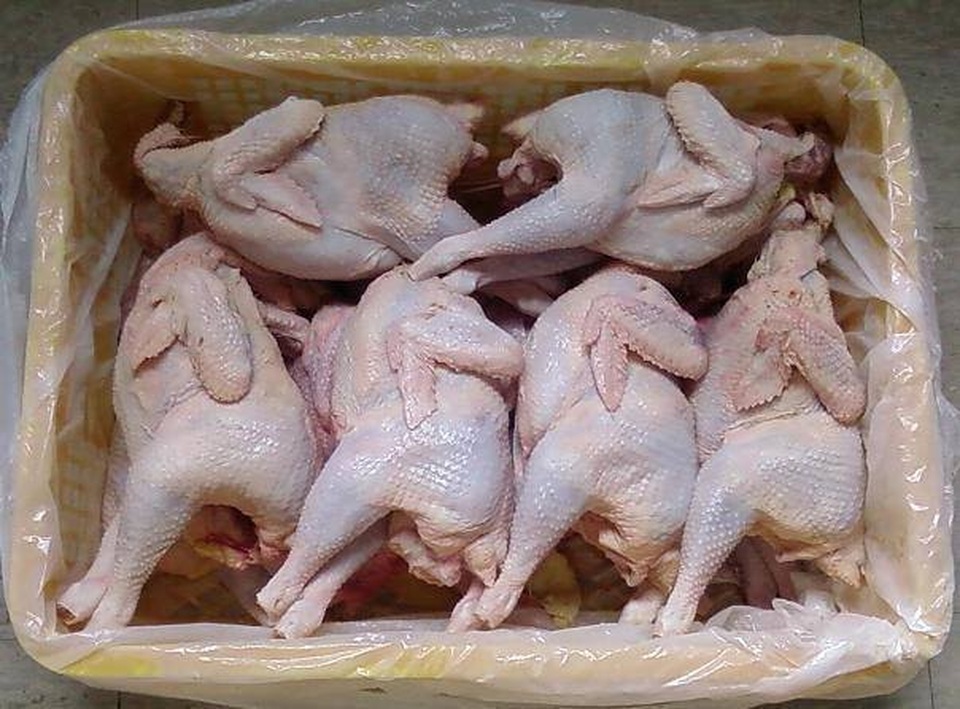 Cơn “sốt” gà dai siêu trứng 40 nghìn đồng/kg, bán tràn các chợ mạng - 1 Cơn “sốt” gà dai siêu trứng 40 nghìn đồng/kg, bán tràn các chợ mạng - 1