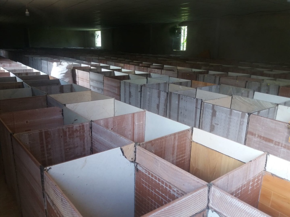 Trang trại nuôi dúi của cử nhân 8X ở Quảng Nam Trang trại nuôi dúi của cử nhân 8X ở Quảng Nam