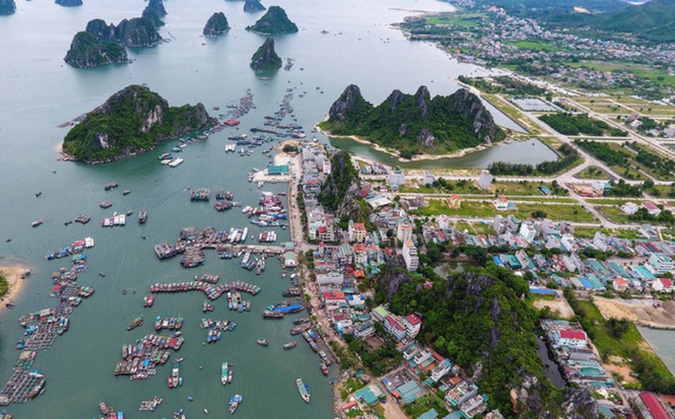 Huỷ kết quả đấu giá, người dân rút đơn tố cáo tại Vân Đồn (Quảng Ninh) - 1 Huỷ kết quả đấu giá, người dân rút đơn tố cáo tại Vân Đồn (Quảng Ninh) - 1