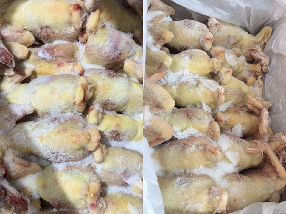 Cơn “sốt” gà dai siêu trứng 40 nghìn đồng/kg, bán tràn các chợ mạng - 2 Cơn “sốt” gà dai siêu trứng 40 nghìn đồng/kg, bán tràn các chợ mạng - 2