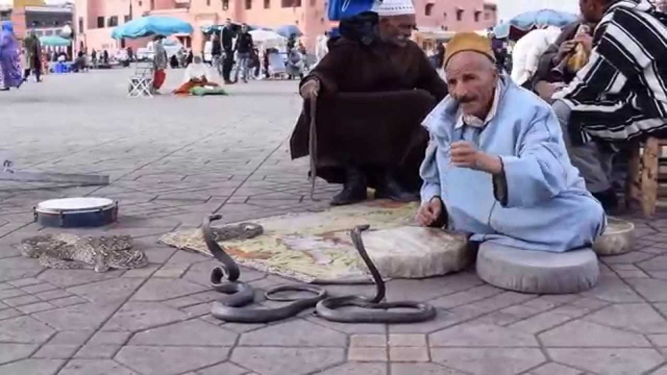 Xem màn thôi miên rắn giữa chợ vừa ma mị vừa rợn người - 1 Xem màn thôi miên rắn giữa chợ vừa ma mị vừa rợn người - 1