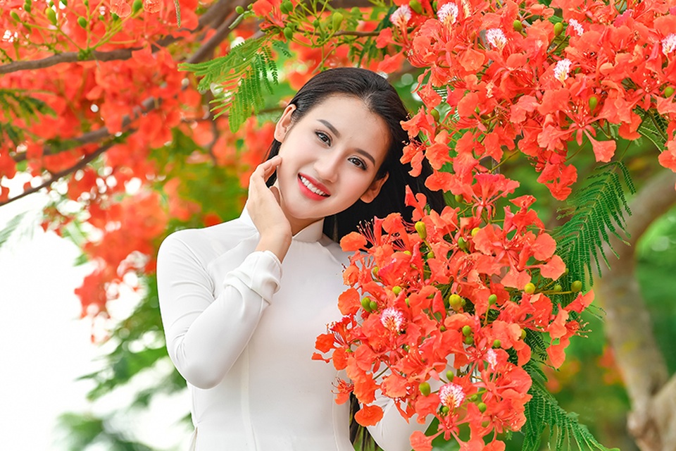 Cô gái xinh đẹp thả hồn trên con đường hoa phượng đỏ Hải Phòng - 17 Cô gái xinh đẹp thả hồn trên con đường hoa phượng đỏ Hải Phòng - 17