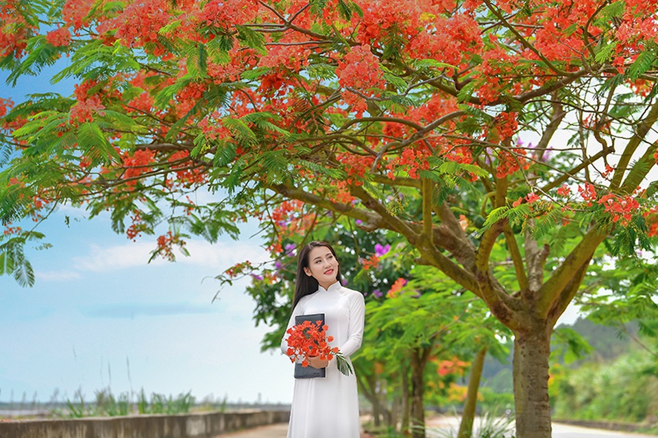 Cô gái xinh đẹp thả hồn trên con đường hoa phượng đỏ Hải Phòng - 13 Cô gái xinh đẹp thả hồn trên con đường hoa phượng đỏ Hải Phòng - 13