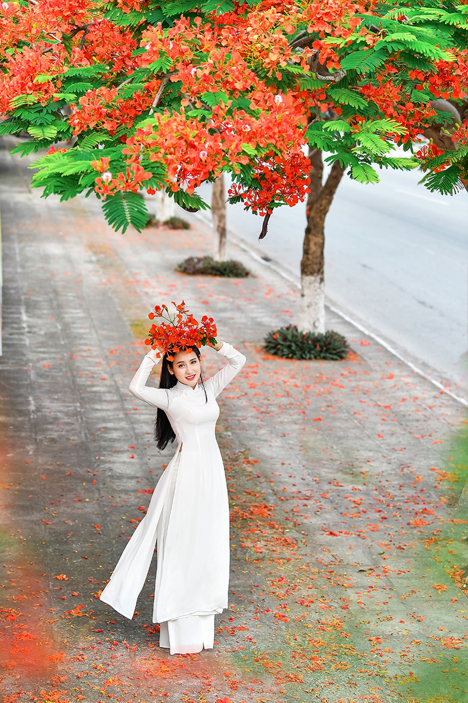 Cô gái xinh đẹp thả hồn trên con đường hoa phượng đỏ Hải Phòng - 1 Cô gái xinh đẹp thả hồn trên con đường hoa phượng đỏ Hải Phòng - 1