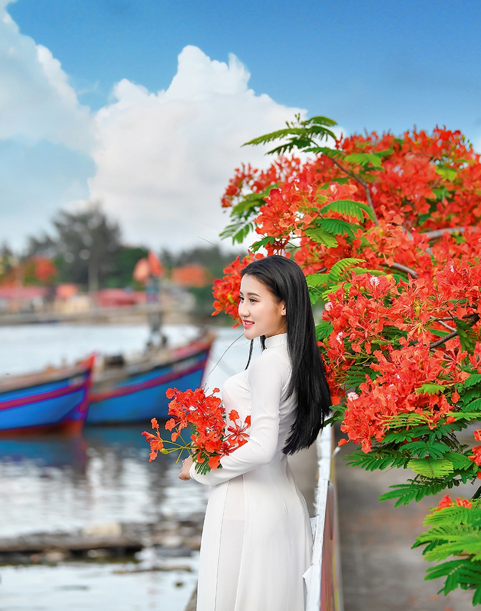 Cô gái xinh đẹp thả hồn trên con đường hoa phượng đỏ Hải Phòng - 7 Cô gái xinh đẹp thả hồn trên con đường hoa phượng đỏ Hải Phòng - 7