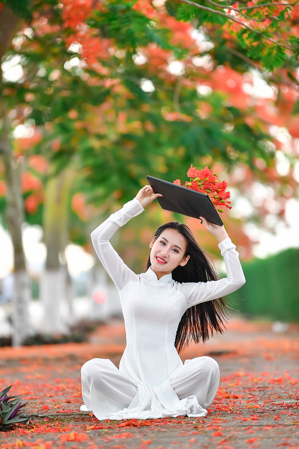 Cô gái xinh đẹp thả hồn trên con đường hoa phượng đỏ Hải Phòng - 9 Cô gái xinh đẹp thả hồn trên con đường hoa phượng đỏ Hải Phòng - 9