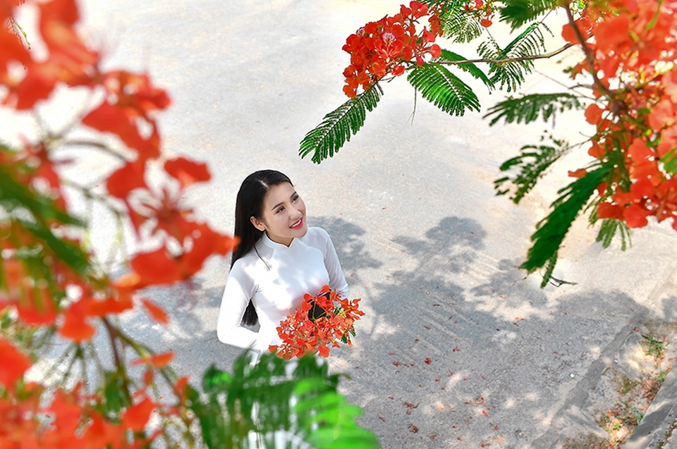 Cô gái xinh đẹp thả hồn trên con đường hoa phượng đỏ Hải Phòng - 20 Cô gái xinh đẹp thả hồn trên con đường hoa phượng đỏ Hải Phòng - 20