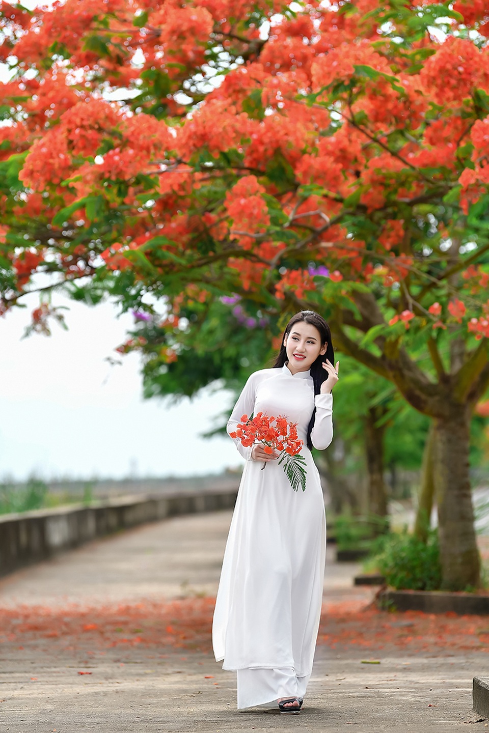 Cô gái xinh đẹp thả hồn trên con đường hoa phượng đỏ Hải Phòng - 5 Cô gái xinh đẹp thả hồn trên con đường hoa phượng đỏ Hải Phòng - 5