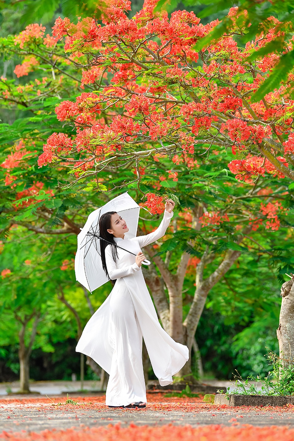 Cô gái xinh đẹp thả hồn trên con đường hoa phượng đỏ Hải Phòng - 2 Cô gái xinh đẹp thả hồn trên con đường hoa phượng đỏ Hải Phòng - 2