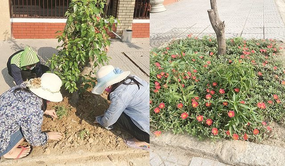 Thủ tướng gửi thư khen phong trào “xanh - sạch - sáng” của Thừa Thiên Huế - 5 Thủ tướng gửi thư khen phong trào “xanh - sạch - sáng” của Thừa Thiên Huế - 5