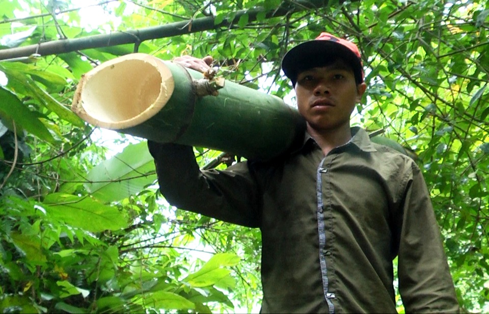 Du lịch vùng sâm Ngọc Linh Quảng Nam Du lịch vùng sâm Ngọc Linh Quảng Nam