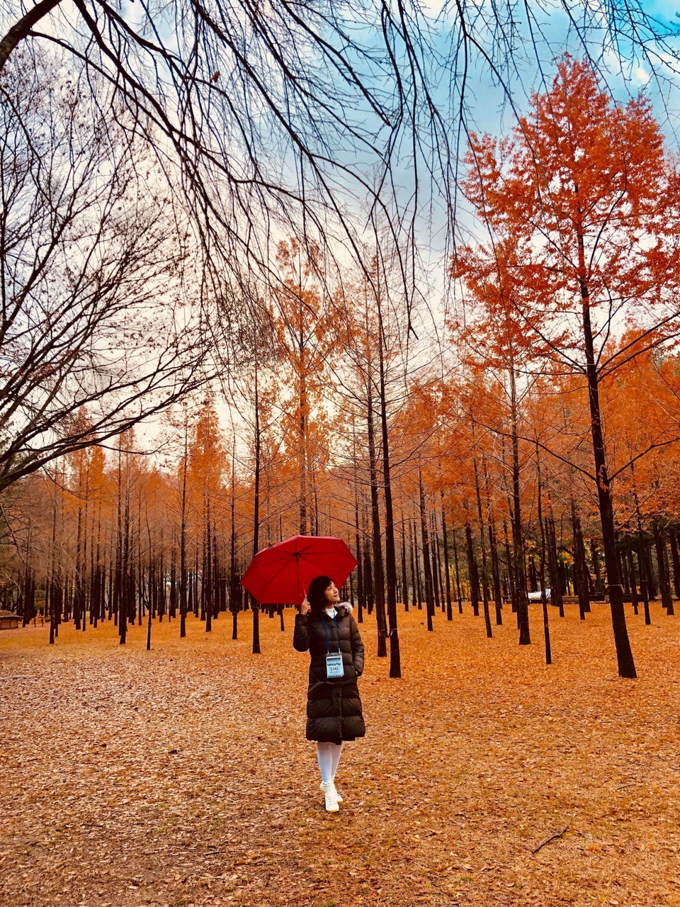 Á hậu Hoàng Oanh xì tin du ngoạn Hàn Quốc cùng siêu mẫu Thanh Hằng - 27 Á hậu Hoàng Oanh xì tin du ngoạn Hàn Quốc cùng siêu mẫu Thanh Hằng - 27