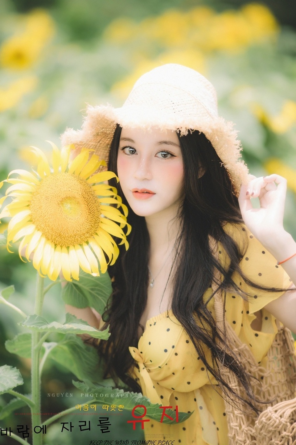 Hot girl ĐH Thương mại gây thương nhớ với bộ ảnh bên hoa hướng dương - 2