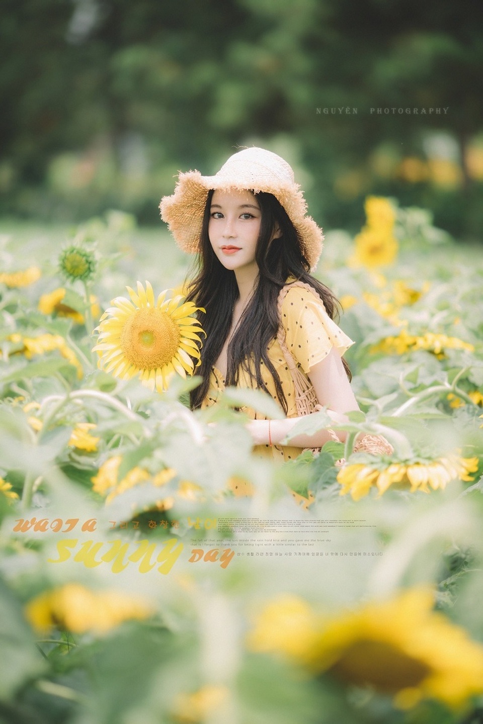 Hot girl ĐH Thương mại gây thương nhớ với bộ ảnh bên hoa hướng dương - 3